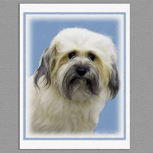 6 Havanese Dog Blank Art Note Greeting Cards - Picture 1 of 1