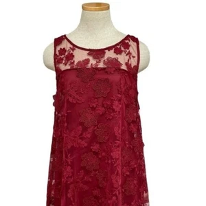 ROBBIE BEE Dress Womens SP Small Petite Red NWT Lace Shift Valentine's Christmas - Picture 1 of 13