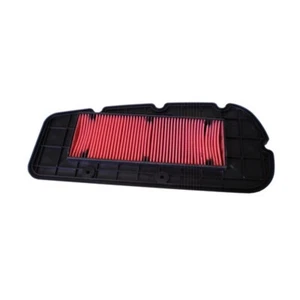 SYM 300 Citycom / S / EFI 2012 Champion Air Filter - Picture 1 of 1