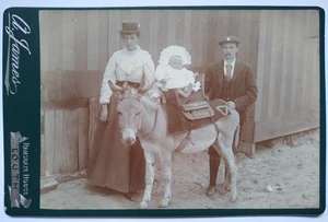 Tarjeta de gabinete Louth Child Riding Donkey de A. James - Imagen 1 de 2