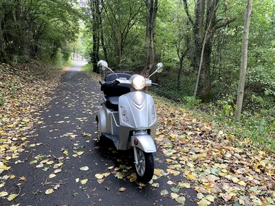 LuXXon E3800, Elektro-Dreirad - Bild 1 von 4