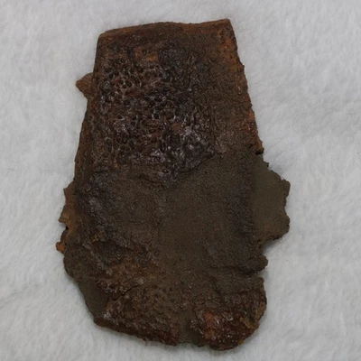 Large Piece of Turtle Shell - Dinosaur Age - Hell Creek Formation - Cretaceous - Image 1 of 4