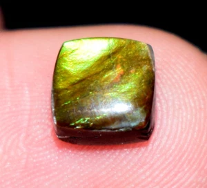 .Natural Ammolite Gemstone Cabochon 1.70 Ct Loose Ammolite Gemstone - Picture 1 of 4
