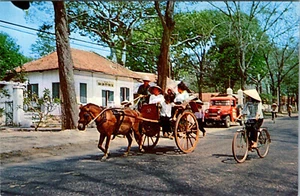 SÜDANSICHT NAM - PFERDEWAGEN IN PIEIKU - ALTE POSTKARTE - Bild 1 von 2