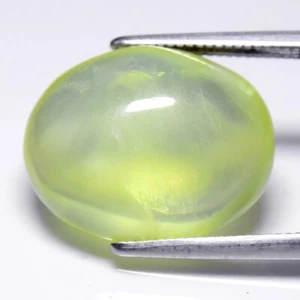 💎 Cabochon ovale 11,01 ct 15,7 x 12,5 mm prehnite verde naturale - Africa - Foto 1 di 10
