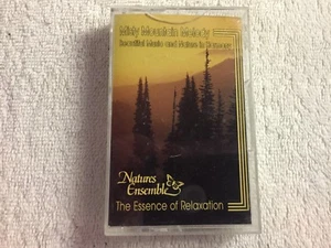 Misty Mountain Melody - Cassette Tape - 1993 Platinum Disc Corporation #A - Picture 1 of 3