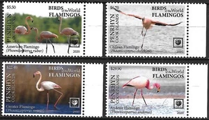 PENRHYN ISLAND - 2020 MNH "Aves acuáticas del mundo - FLAMENCOS" ¡Juego completo! - Imagen 1 de 1
