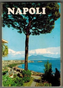 Carnet Depliant de 20 Vues  - Napoli - Edit.Vincenzo-Carcavallo - Picture 1 of 8
