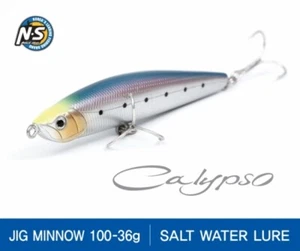 NS BLACKHOLE CALYPSO JIG MINNOW 100-36g - Picture 1 of 6