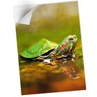 1 x Vinyl Sticker A1 - Little Turtle Terrapin Swimming #16940