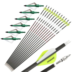 31" Noctilucent Archery Carbon Arrows Feathers Tips Recurve Compound Bow Hunting - Picture 1 of 32