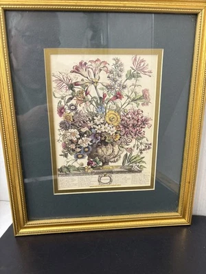 Impresiones florales botánicas enmarcadas vintage, decoración del hogar/pared, Robert Furber Foto 1 de 4