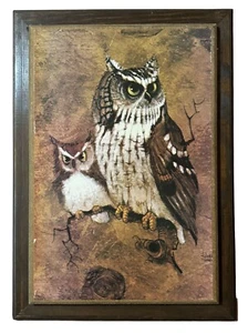 Vintage Kreisch Eule gerahmte Applikation MCM Kunstwerk signiert Richard Hinger 21" x 15" - Bild 1 von 5