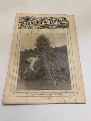 November 21 1925 The Rural New Yorker Magazine Storage For Pumpkin Pie Timber - Image 1 of 4