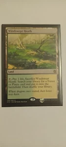 Windswept Heath MTG single NM - Picture 1 of 1