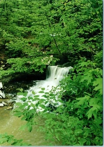 Canyon Inn, Waterfall, McCormick's Creek State Park, Spencer, Indiana Postcard - Picture 1 of 2