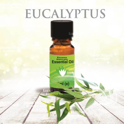 ESSPEE NATURALS Eucalyptus Essential Oil 10ml - 100% Pure - For Aromatherapy & Home Fragrance