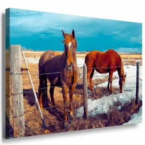 Pferde Farm Leinwandbild AK Art Bilder Mehrfarbig Kunstdruck XXL Wandbild TOP - Bild 1 von 1
