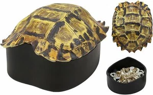 Nautical Reptile Realistic Elongated Tortoise Shell Decorative Box Figurine 8"L - Picture 1 of 4