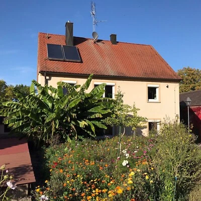 DIE HOF OASE 100g BANANENDÜNGER 🍌Langzeitdünger Granulat MUSA BASJOO Banane Dünger🐒