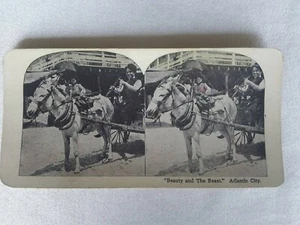 Stereoview Atlantic City, New Jersey, "Beauty and the Beast" - Picture 1 of 2