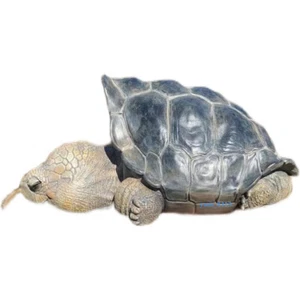 NEW Chelonoidis nigra Lonesome George Model Figure GK Painted 32cm/12.5inches - Picture 1 of 8