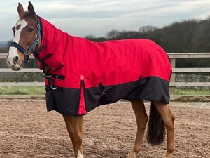 Combo alfombra TURNER EQUESTRIAN 600d peso medio 200 g relleno - Imagen 1 de 1