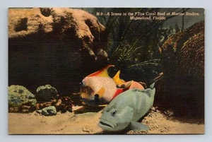 M9 Eine Szene im 7 Tonnen Korallenriff Marine Studios Marineland FL Leinen Postkarte - Bild 1 von 2