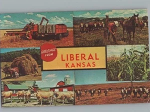 Grüße aus dem liberalen Kansas Split Ansicht Landwirtschaft Pferde Tiere Postkarte 1972 - Bild 1 von 2
