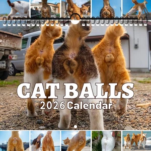 Katzenbälle Kalender 2026 11" x 7,8" lustiger Kalender 2026 monatlicher Wandkalender mit - Bild 1 von 12