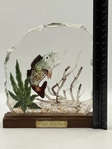 Süßwasser Challenge Skulpturen Sammlung Zander Vintage von Waldo Vintage 1990 - Bild 1 von 5