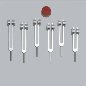 6 pc set Weighted Sacred Solfeggio Tuning forks Tuners for Healing + Activator - Imagen 1 de 1