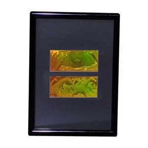 3D Girafe / Hippo 2-Up Hologram Picture FRAMED, Photopolymer Type Film - Picture 1 of 7