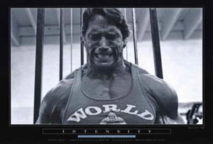 67970 Arnold Schwarzenegger Movie Wall Decor Print Poster - Picture 1 of 7