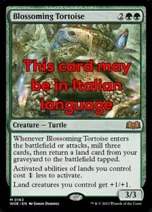 MTG BLOSSOMING TORTOISE EXC - TESTUGGINE FIORITA 163 - WOE - MAGIC - Bild 1 von 1