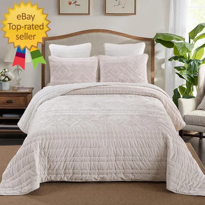 3-Piece Quilt Set Queen Size Velvet Embroidery Quilted Bedspread Coverlet Set Be - Image 1 of 2