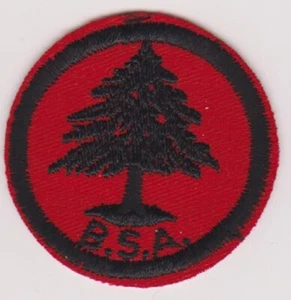 PATROL MEDALLION S-5 PINE TREE RED TWILL WHITE GLUE or PASTE BACK 1953-68 - Picture 1 of 1