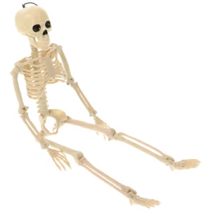 Skeleton Frame Decoration Ornament Halloween Outdoor Decorations - Picture 1 of 12