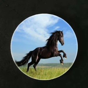 BLACK HORSE 1" Pendant Sterling 925 Silver 20" Necklace fashion jewelry gift - Picture 1 of 10