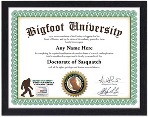 Frame Only for Certificate - Picture 1 of 1