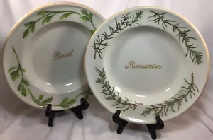 Williams Sonoma Spice Leaves Serving Dinner Plate Platters 10.5"-set 2, ITALY - Picture 1 of 8