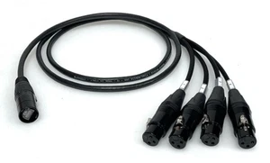 DG Systems - Adattatore Ethercon / 4 XLR femmina su cavo Cat - Made in Italy - Picture 1 of 1