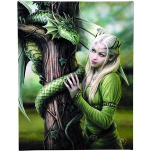 'Kindred Spirit' Wall Plaque Designed By Anne Stokes  (W23) - Bild 1 von 1