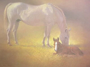 Wayne Baize Her Gift Mare & Foal Horse Limited Edition Art Print - Picture 1 of 1