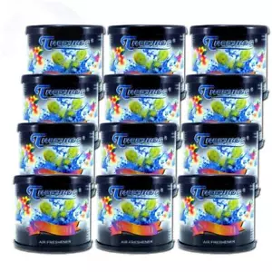 Tree Frog 12 Pack Air Freshener Squash Scent Refreshes Up to 45 Weeks 2.8oz - Picture 1 of 2