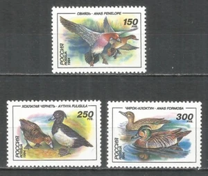 Russia 1994 stamps mint MNH - birds - Picture 1 of 1