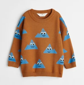 H&M Boys Jacquard-knit 100% Cotton Sweater Size 5T 6 EUC - Picture 1 of 5