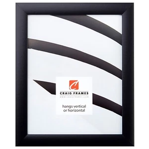 Craig Frames 24x36 Poster Frame, 1" Modern Satin Black w/ Clear Cover & Backing - Picture 1 of 6