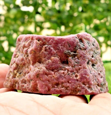 AAA Natural CERTIFIED Mozambique Ruby Rough Loose Gemstone rough 1895 CT - Image 1 of 4