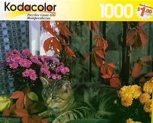Kodacolor Puzzle Cozy Kitty 1000 Pcs 18 15/16"x26 3/4" Tabby in Flowers - New! - Picture 1 of 1